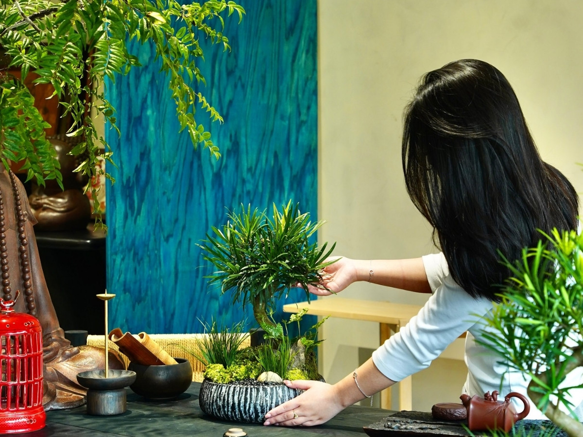 C&acirc;y xanh nhỏ gọn tr&ecirc;n b&agrave;n l&agrave;m việc mang lại kh&ocirc;ng kh&iacute; trong l&agrave;nh