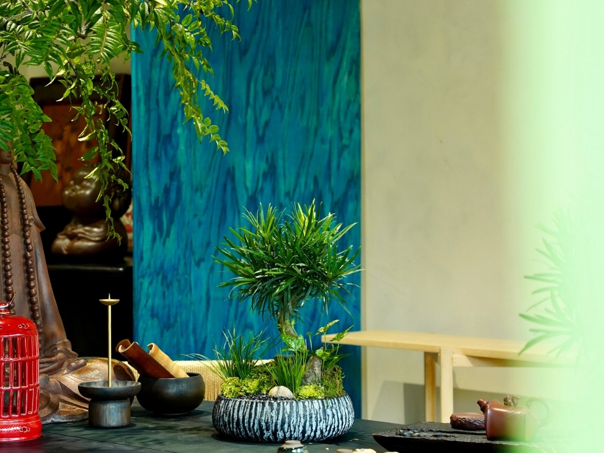 C&acirc;y phong thủy mệnh Mộc tr&ecirc;n b&agrave;n k&iacute;ch hoạt t&agrave;i lộc v&agrave; cơ hội thăng tiến