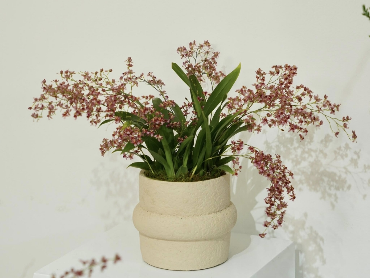 Tr&aacute;nh c&acirc;y đỏ/hồng h&agrave;nh Hỏa để giữ b&agrave;n l&agrave;m việc sạch năng lượng ti&ecirc;u cực