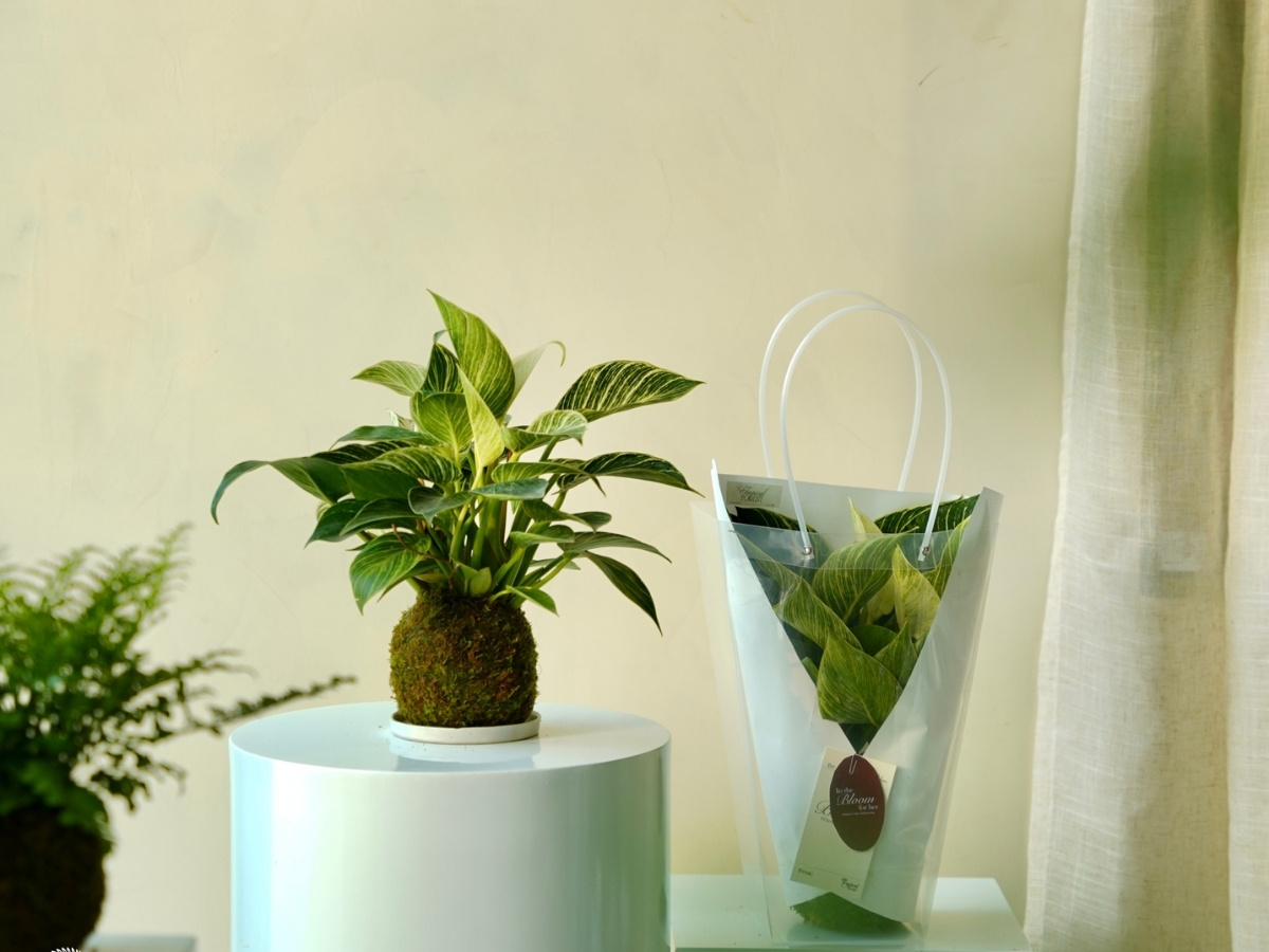 Ngọc ng&acirc;n l&aacute; trắng xanh xen kẽ cải thiện sức khỏe, tăng may mắn dồi d&agrave;o