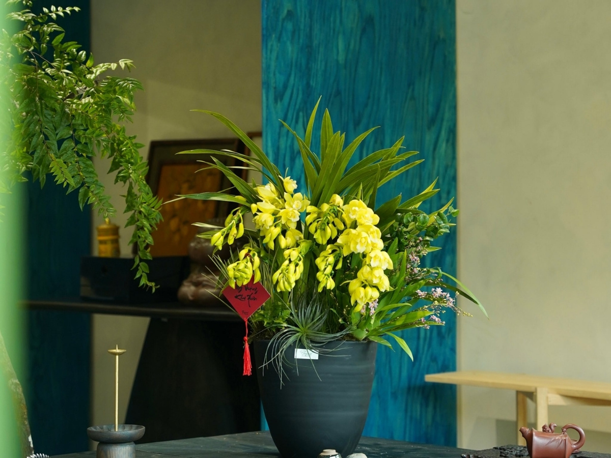 C&acirc;y phong thủy h&agrave;nh Kim - Thủy tương sinh mạnh mẽ, k&iacute;ch hoạt vượng kh&iacute;