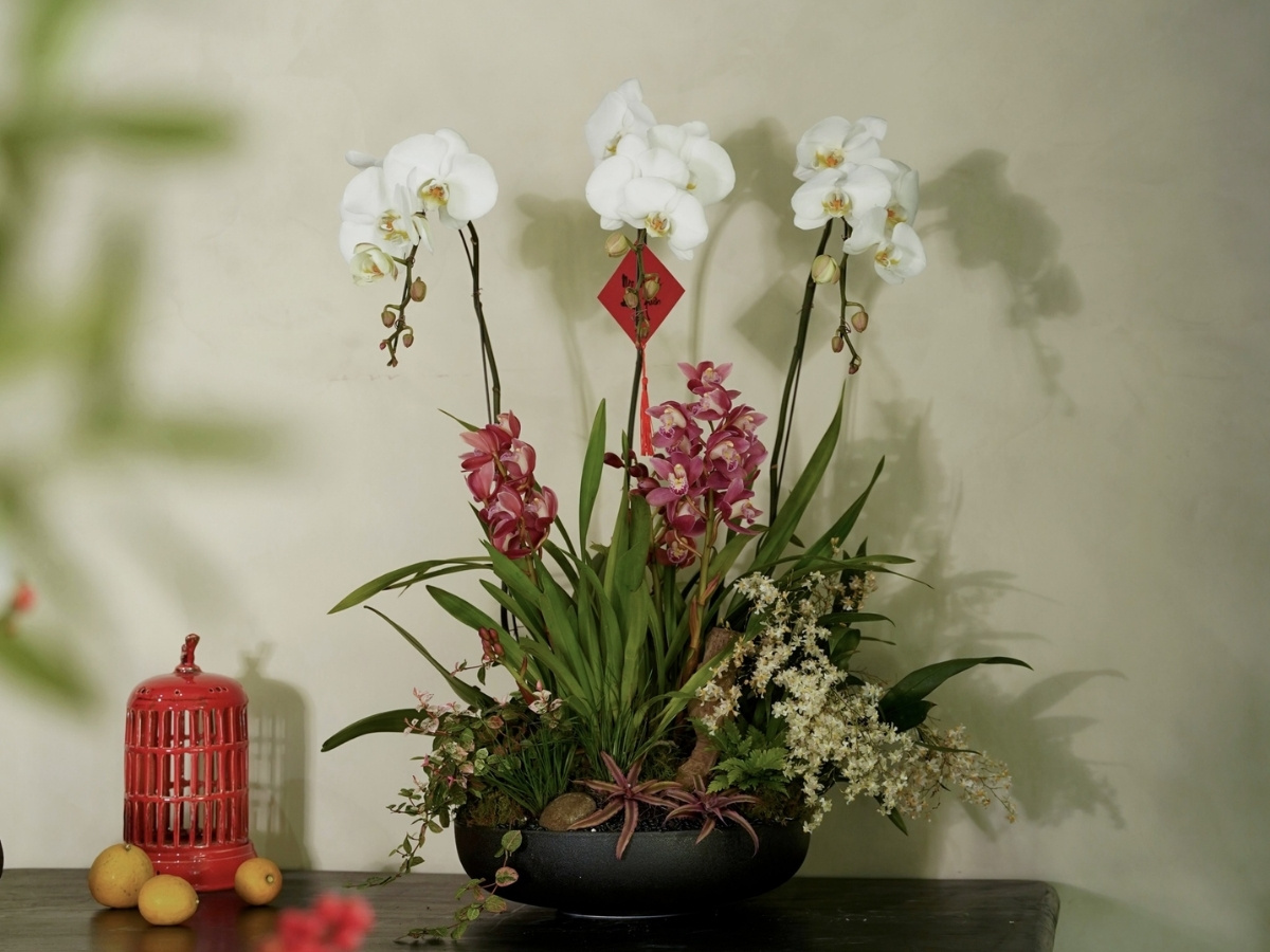 C&acirc;y xanh thanh lọc kh&ocirc;ng kh&iacute;, giảm stress - B&iacute; quyết sức khỏe v&agrave; thăng tiến