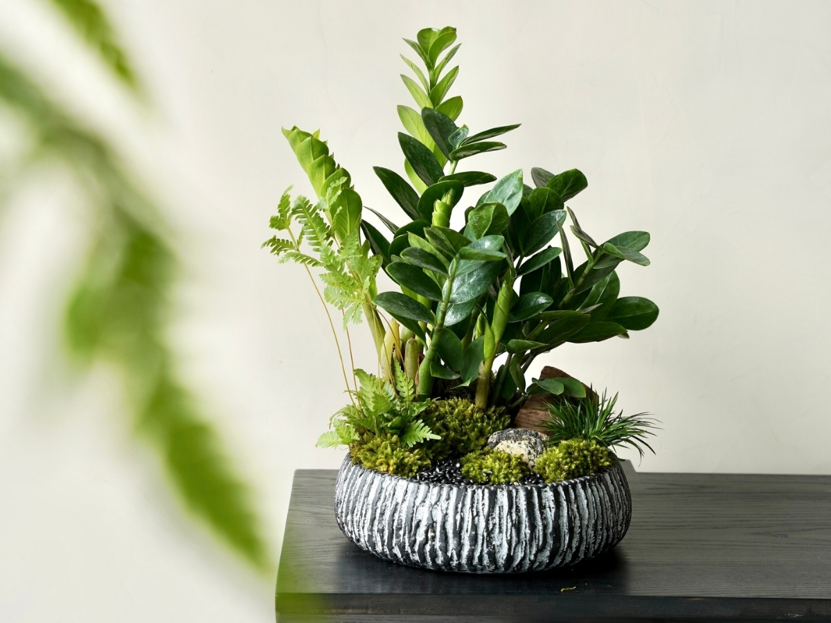 Kim tiền mini c&oacute; &yacute; nghĩa phong thủy t&agrave;i lộc