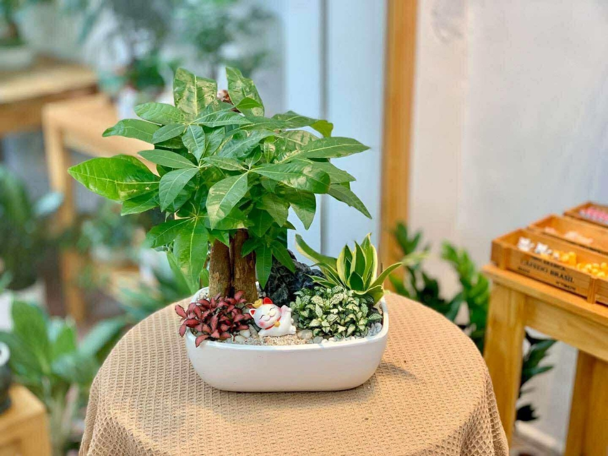 Kim ng&acirc;n xoắn thịnh vượng tăng năng lượng t&iacute;ch cực, ki&ecirc;n cường cho mệnh Mộc