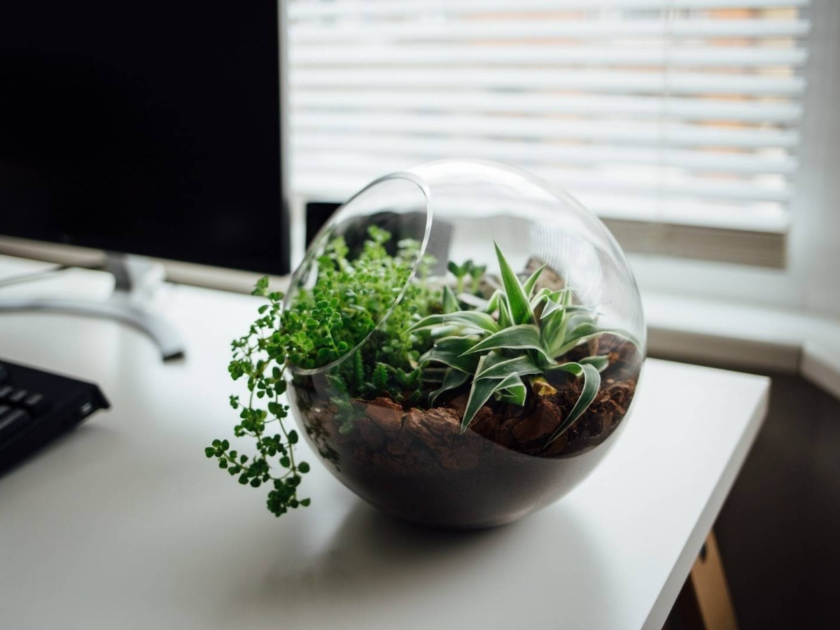 Phong thủy b&agrave;n l&agrave;m việc gi&uacute;p người mệnh Thổ tăng may mắn v&agrave; hiệu quả c&ocirc;ng việc